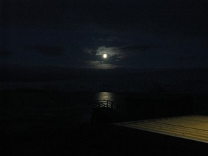 The Moon and Antarctica